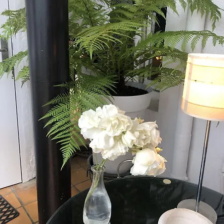 酒店 莫德尔那酒店 3*