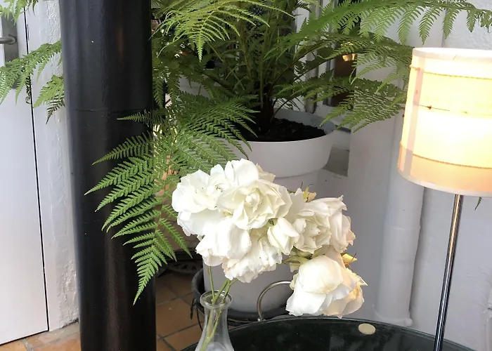 Szálloda Moderna 3*